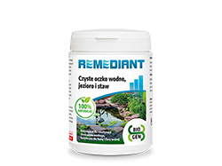 remediant-05.jpg